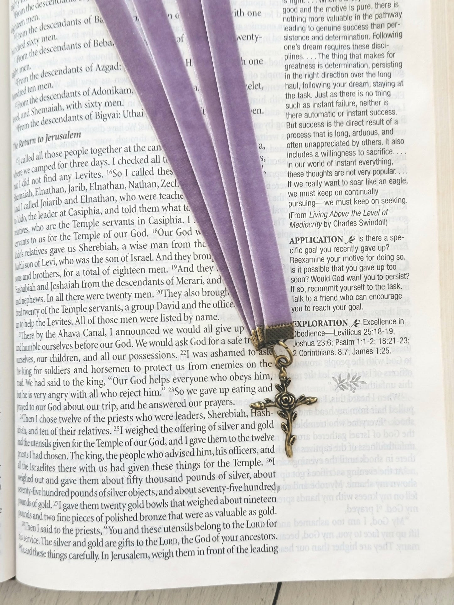 Bible Bookmark with Multiple Velvet Ribbons